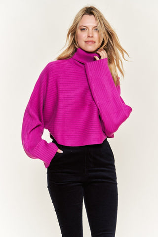 Long Sleeve Turtleneck Sweater from Long Sleeve Top collection you can buy now from Fashion And Icon online shop